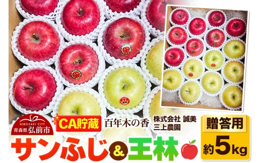 【26年4月発送】りんご 【CA貯蔵】贈答用 百年木の香 三上農園 サンふじ＆王林 約5kg (14～20玉程度)【先行受付】 青森 果物 フルーツ 林檎 リンゴ くだもの 予約