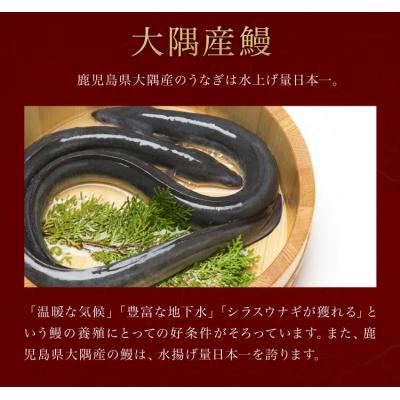 ふるさと納税 大崎町 鹿児島県大隅産　千歳鰻の白焼鰻　4尾 |  | 03