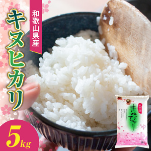 BB6233_和歌山県産キヌヒカリ 5kg（2025年産）