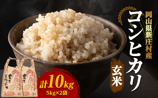 【令和7年産】コシヒカリ 村の「一等米」10kg(玄米5kg×2袋) 岡山県産のお米
