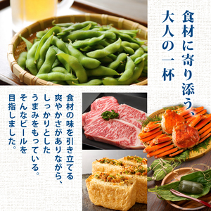 【定期便 2か月】新潟限定ビイル 風味爽快ニシテ（サッポロ） 500ml × 24本 shinbo5000_001