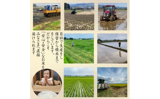 令和8年産 先行予約 新潟県 上越市産米 新之助 定期便 5kg×3回 計15kg 3か月 しんのすけ 新米 精米 米ヴィレッジさんわ 上越市三和区