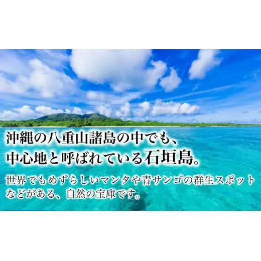 ホテルグランビュー石垣The First　ツイン宿泊利用券（1泊朝食付き）