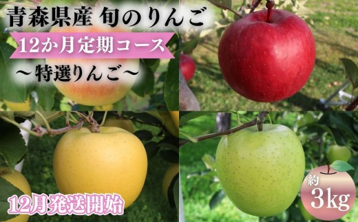
                  【2026年12月発送開始】青森県産 りんご 12ヶ月定期便 約3kg 特選 1年間品種リレー 食べ比べセット 毎月配送 青森りんご 林檎 フルーツ 平川市
                