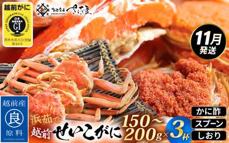 ≪浜茹で≫ 越前 せいこがに 150～200g × 3杯【雌 ズワイガニ】【カニ かに 蟹 越前ガニ セコガニ カニみそ】かに酢・かにスプーン・食べ方のしおり付 【11月発送分】希望日指定可 備考欄に希望日をご記入ください [e04-x035_11]