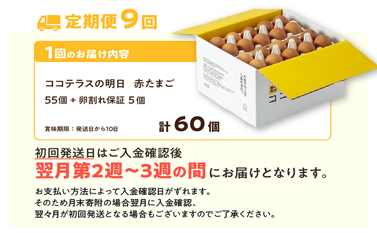 【9ヵ月定期便】ココテラスの明日（赤たまご）55個 + 5個保証（計60個）