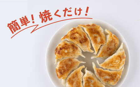 餃子 50個入り　【有限会社横須賀松坂屋】[AKCY016]