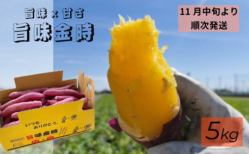 
            【予約受付中・2025年11月中旬頃より順次発送】鳴門市大津産　旨味金時 5kg
          