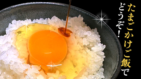 【ふるなび限定】【6ヵ月定期便】雪平養鶏場 桜川育ちの 新鮮 たまご 合計180個 （20個＋10個割れ補償付)×6回 [SC034sa] FN-Limited-PR