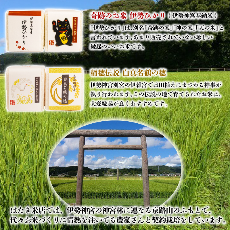 奇跡のお米 伊勢ひかり・穂落伝説 白真名鶴の穂 キューブ米セット / お米 白米 精米 米 おすすめ 贈り物 贈答 プレゼント ギフト お祝 お中元 お歳暮 国産 三重県 志摩市 伊勢 志摩 老舗 伊