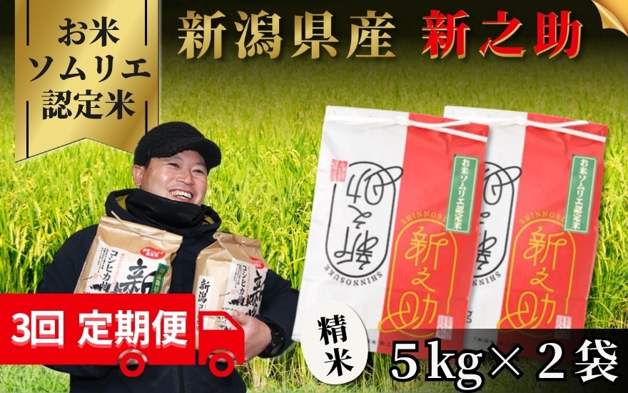 
                  【先行予約】【令和8年産】〈3回定期便〉 【お米ソムリエのお米】 新之助 精米 10kg（5kg×2袋） 新潟県 五泉市 エバーグリーン農場 
                