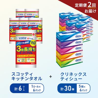 ふるさと納税 岩沼市 【6ヶ月ごと計2回お届け】ティッシュ+キッチンペーパー6P[No.5704-1803]