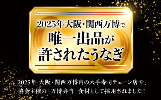 【全6回定期便】 鰻 美陵鰻の生鰻 4尾 / 美陵鰻 鰻 うなぎ ウナギ 蒲焼 蒲焼き かば焼き 白焼き 白焼 肉厚 うな重 うな丼 タレ 山椒 国産 スタミナ 土用 丑の日 土用の丑の日 贈答 ギフ