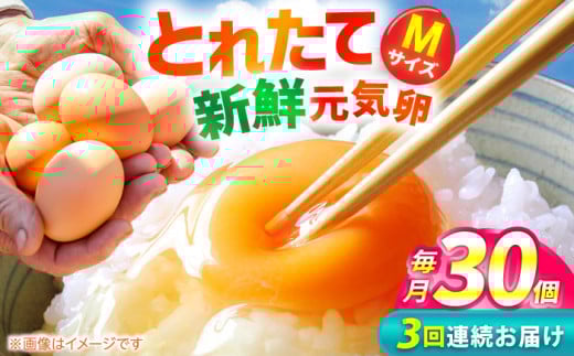 【3回定期便】お茶と海藻で健康育ち 元気卵 90個（30個×3回） / たまご タマゴ 玉子 鶏卵 定期便 / 亀山市 / 藪本養鶏園 [AMBH002]