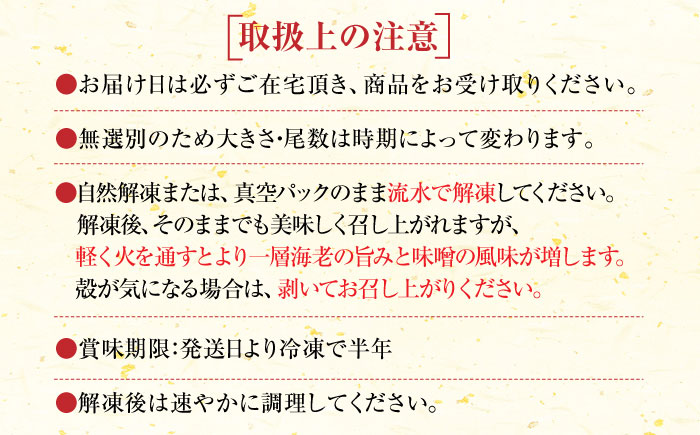 【10月1日金額改定予定！】【伊万里特産】車海老みそ漬 計450g（車海老250g、味噌200g） / 海老 エビ 車海老 / 佐賀県 / 株式会社 拓水 伊万里クルマエビセンター [41AEAJ00