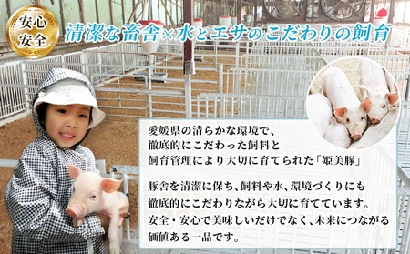＜愛媛県産 姫美豚 モモ肉 小間切れ＆ミンチ肉セット 合計1.2kg（各600g）＞ ひめびとん 赤身 豚肉 ブランド豚 豚こま ひき肉 挽肉 国産 家庭用 普段使い ストック用 小分け 真空冷凍 簡