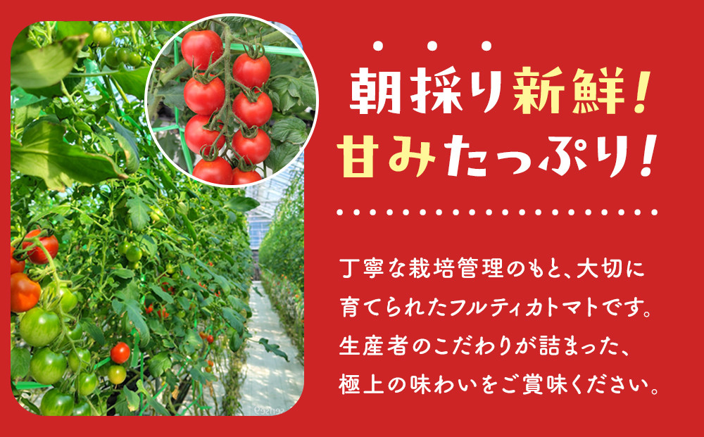 【令和8年5月下旬～発送】ながなわ農園のフルティカトマト　2kg｜  ちょっと贅沢な甘美なトマト  数量限定 トマト フルーツ 甘い 送料無料 信州 長野  阿智村  長縄農園