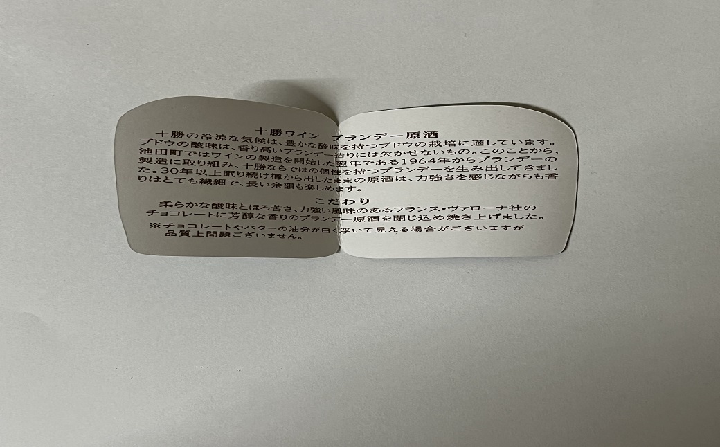 ボンショコラ チョコレート  ケーキ ハーフ 1箱 チョコ バレンタイン ケーキ チョコレート Bon chocolat 