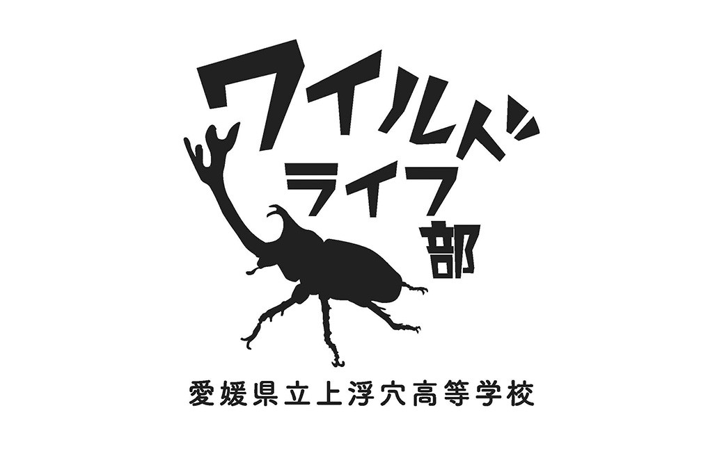 【返礼品なし】 上浮穴高校 魅Can部 （ワイルドライフ部）への応援寄附