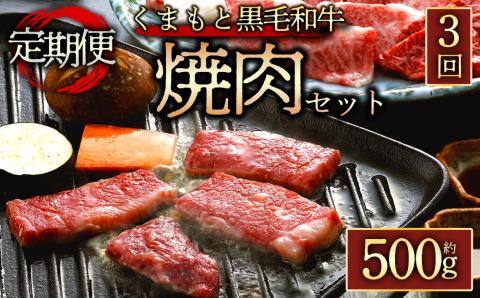 【定期便 全3回】くまもと黒毛和牛焼肉500g 阿蘇牧場 黒毛和牛 和牛 肉 定期便 国産 牛肉 ブランド牛 人気 美味しい 焼肉 希少 ジューシー 熊本 阿蘇