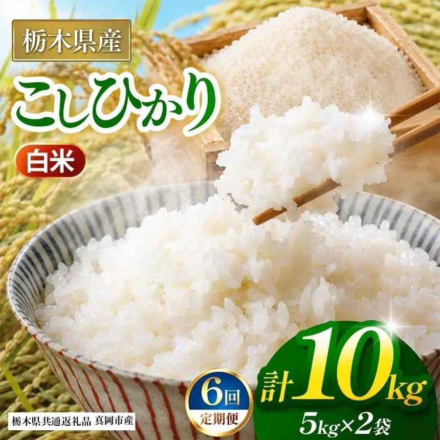 【栃木県共通返礼品】【定期６回】コシヒカリ 白米 10kg | 令和８年度産 栃木県 那珂川町 送料無料