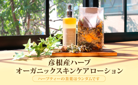 【Lusa Natural Hair & Beauty Studio】ハーブティー スキンケアローション lusa02