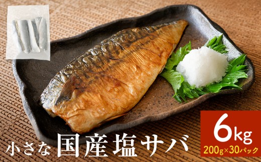 小さな 国産 塩サバ 6kg  ( 200g × 30パック ) 冷凍 国産 サバ 鯖 魚 青魚 塩さば 真サバ 切り身 ご家庭用 焼き魚 焼魚 おかず お弁当 惣菜 和風惣菜 焼くだけ 簡単調理 サバ フィレ 鯖フィレ サバフィレ フィーレ 切身 宮城 宮城県 石巻 石巻市