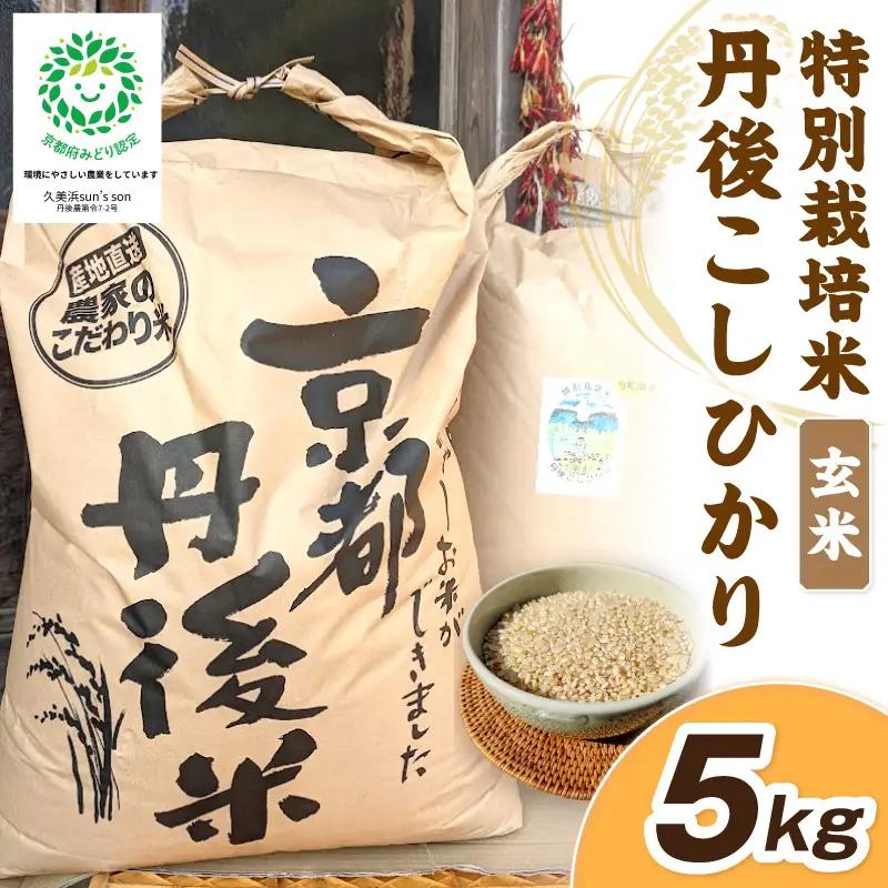 【先行予約】令和8年産 丹後こしひかり 玄米5kg 【特別栽培米】新米　特別栽培 玄米 2026年産 ふるさと納税 こしひかり ふるさと納税