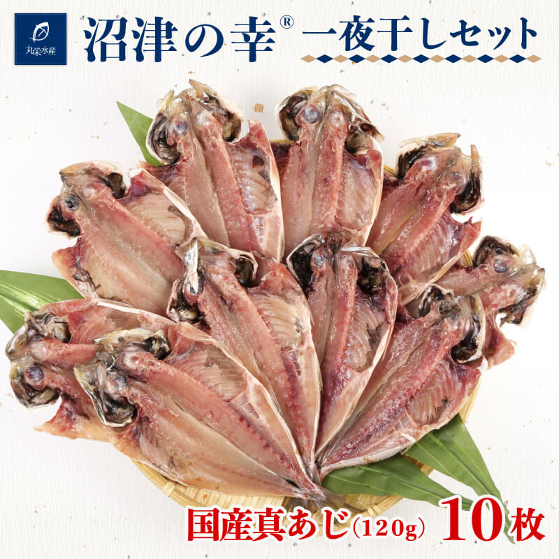 【ふるさと納税】 干物 魚 一夜干し 沼津の幸 真あじ 120g 10枚 セット 真鯵 あじ アジ 鯵 干物セット 魚介類 海産物 特産品 国産 朝食 おつまみ 惣菜 おかず 贈り物 ギフト プレゼント 沼津市 静岡県