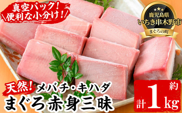 
                  天然! メバチマグロとキハダマグロ 赤身 食べ比べ 1kg（各100g×5柵）  便利 な 小分け 柵 でお届け! まぐろ 刺身 冷凍 それぞれ 【海鮮まぐろ家】 【00-041-13】
                