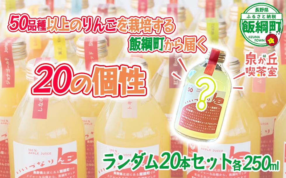 
                  ミステリーりんごジュース 信州 飯綱産りんごジュース【 品種おまかせ 】 250ml × 20本 いいづなりんご50品種りんごジュース 泉が丘喫茶室 飲料 果汁飲料 りんご リンゴ 林檎 ジュース 100% ストレート 50品種 いいづなコネクト EAST 長野県 飯綱町 [2152]
                