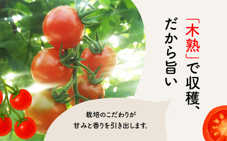 ピッコロトマト1.5㎏