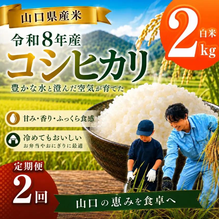 令和8年度産 山口県産 コシヒカリ 2㎏ 定期便 2回発送