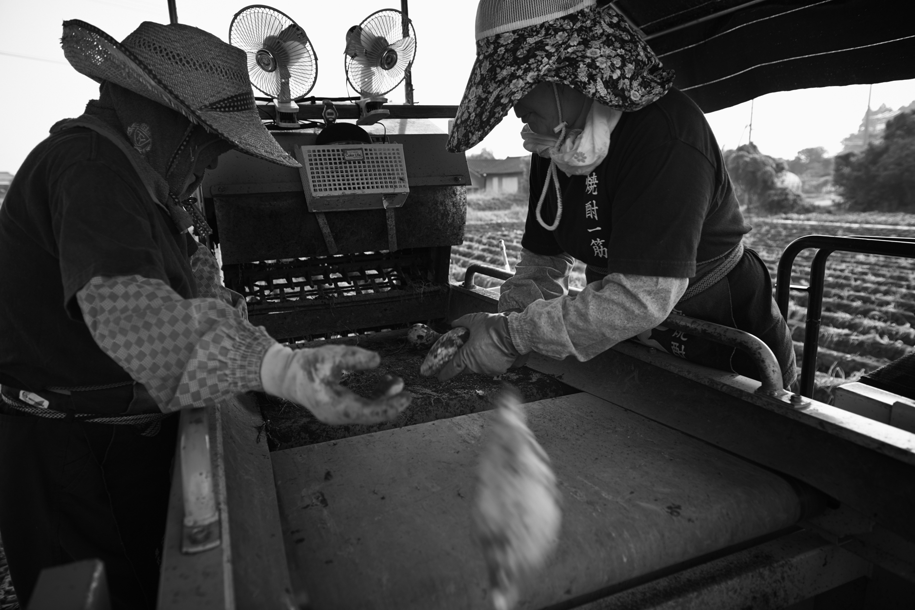 【JAL限定】＜百年の孤独 720ml×1本 おひとり様1本まで＞翌月末迄に順次出荷 お酒 焼酎 本格焼酎 アルコール分40% 貯蔵酒 黒木本店