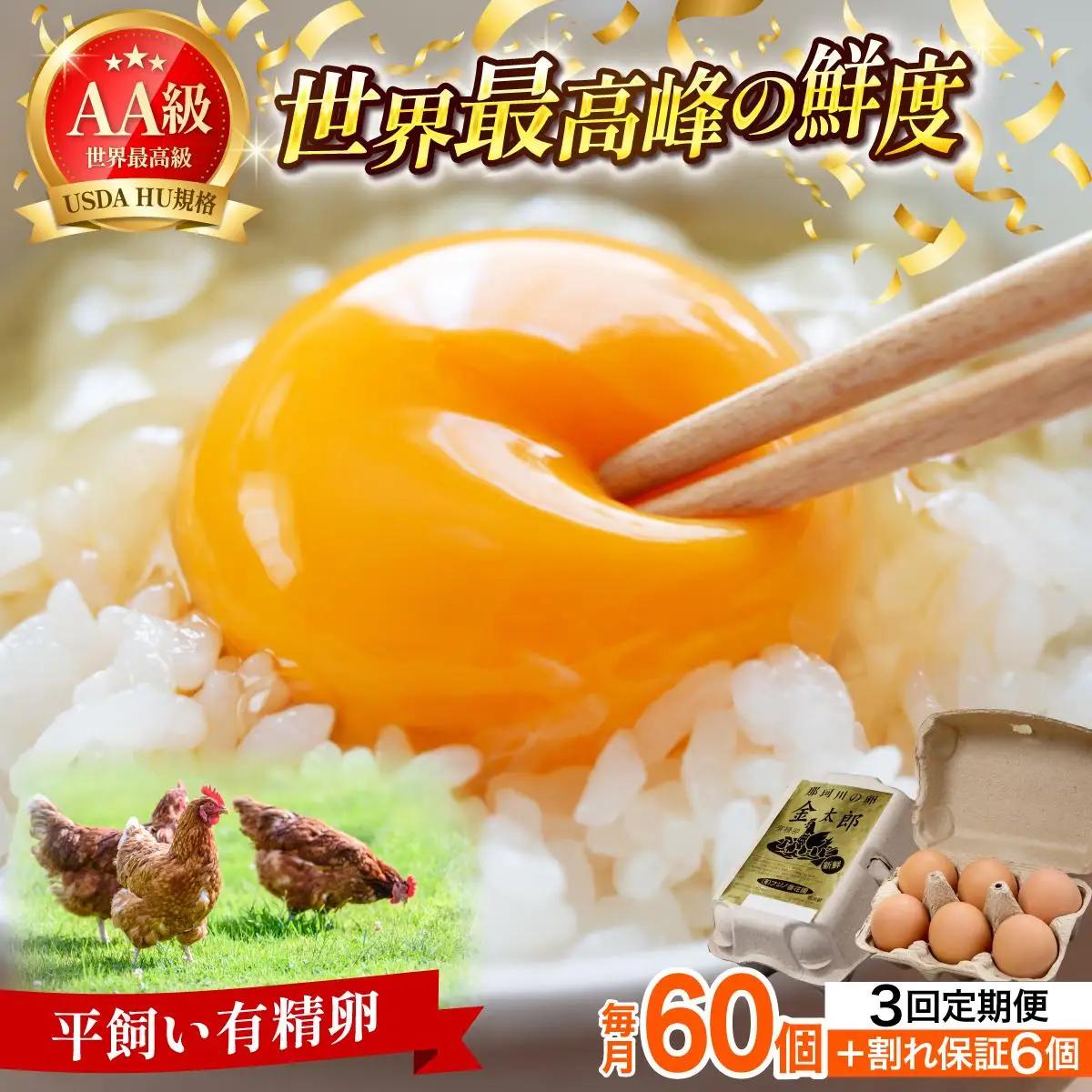 寄附額改定↓ ＜定期便・全3回＞鮮度AA級の世界最高ランク！金太郎卵 平飼い たまご 60個（6個×10パック）