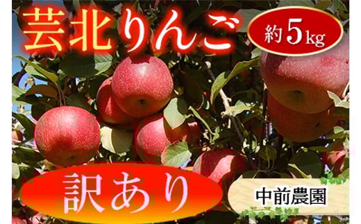 
            ≪10月中旬以降発送≫ りんご 訳あり ご家庭用 約5kg 中前農園の芸北りんご 農家直送 シナノスイート ぐんま名月 ジョナゴールド ふじ_NA099_002
          