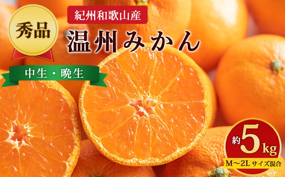 
                  【先行予約】【秀品】紀州和歌山産 温州みかん 約5kg（箱込み） M～2L サイズ混合（中生・晩生）
                