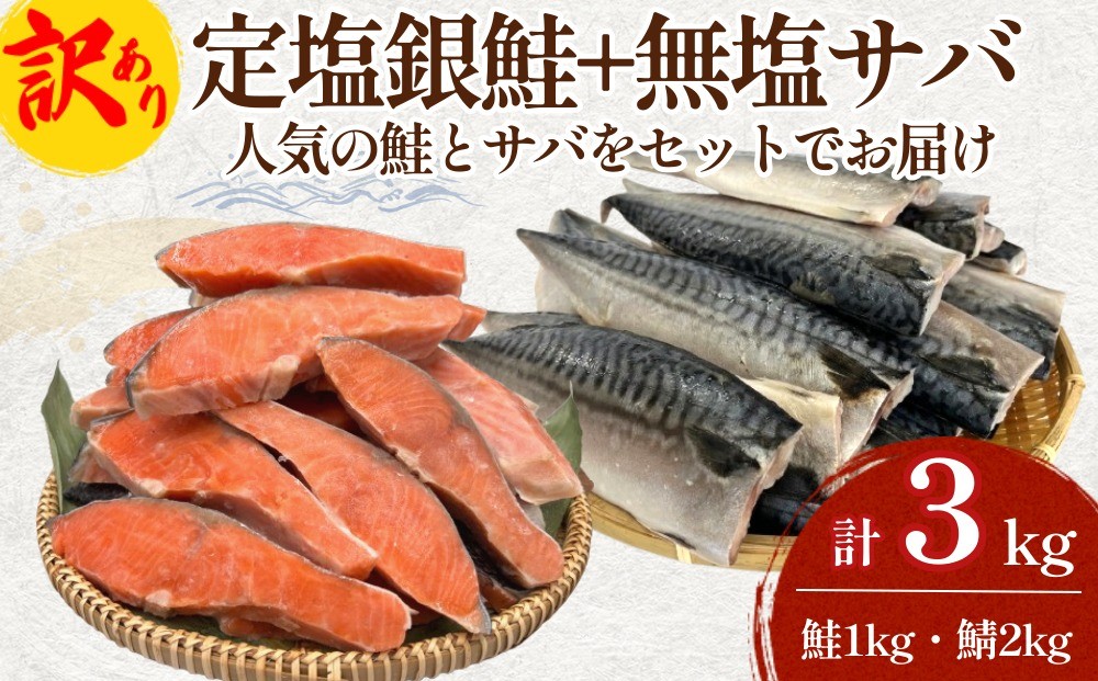 
                  《訳あり》 定塩銀鮭 約 1kg  / 無塩サバフィレ 約 2kg 切り身 セット 合計 3kg 食べ比べ 詰め合わせ 鮭 サバ 塩鮭 甘塩 無塩さば おかず お弁当 切身 焼き魚 宮城県 石巻市 
                