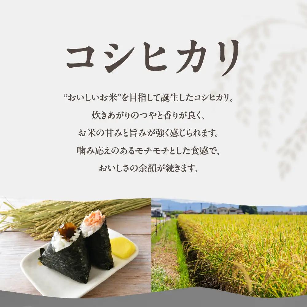 《先行予約》結（むすび）フルーツミニトマト（TTM180）1kg 1セット 甘い野菜 デザート感覚 おやつ スイーツ感覚 サラダ用 そのまま食べる 旬 家庭用 贈り物 すっきり爽やかな甘み お取り寄せ