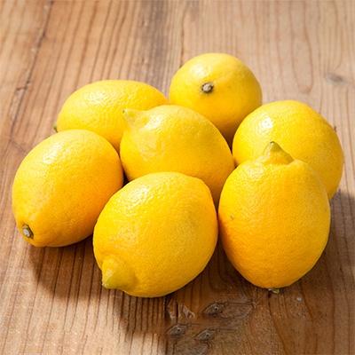 ふるさと納税 紀の川市 観音山レモン　4kg