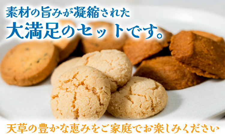 クッキーサブレセット 各約170g×3種 計約500g 株式会社かねこ《30日以内に出荷予定(土日祝除く)》 熊本県 苓北町 お菓子 クッキー サブレ 塩 あおさ 天草 焼菓子 スイーツ おやつ バタ