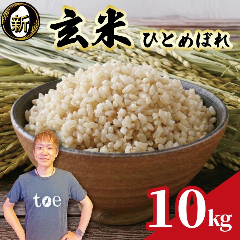 【ふるさと納税】 令和8年度産 玄米 ひとめぼれ 10kg 予約受付 9月中旬より順次発送 数量限定 期間限定 2026年度産 お米 新米 ご飯 ごはん お弁当 食品 プレゼント 日常 家庭用 げんまい 食品 日用品 農家直送 産地直送 新鮮 新米 国産 安心 安全 edama 静岡県 牧之原市