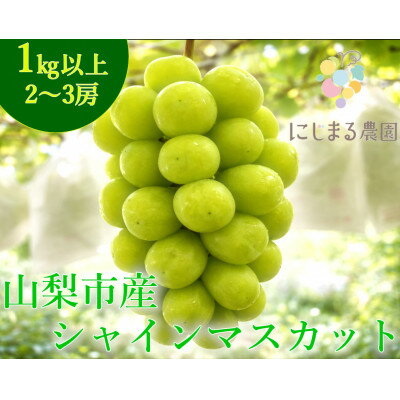 【ふるさと納税】【2026年発送】シャインマスカット 2～3房 (約1kg) 山梨県山梨市産のフルーツ【配送不可地域：離島・沖縄県】【1726268】