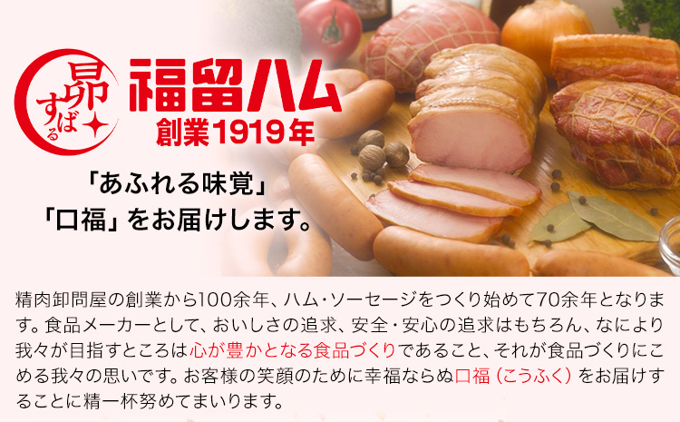 福留ハム カタロースハム 約6kg《30日以内に出荷予定(土日祝除く)》 豚肩ロース ロースハム ハム---00000026y-003-01---