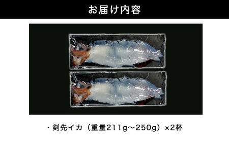 自宅で透明感を再現！須佐男命いかの姿造り（刺身）特殊冷却「3D冷凍」パック 2個セット｜HG000428