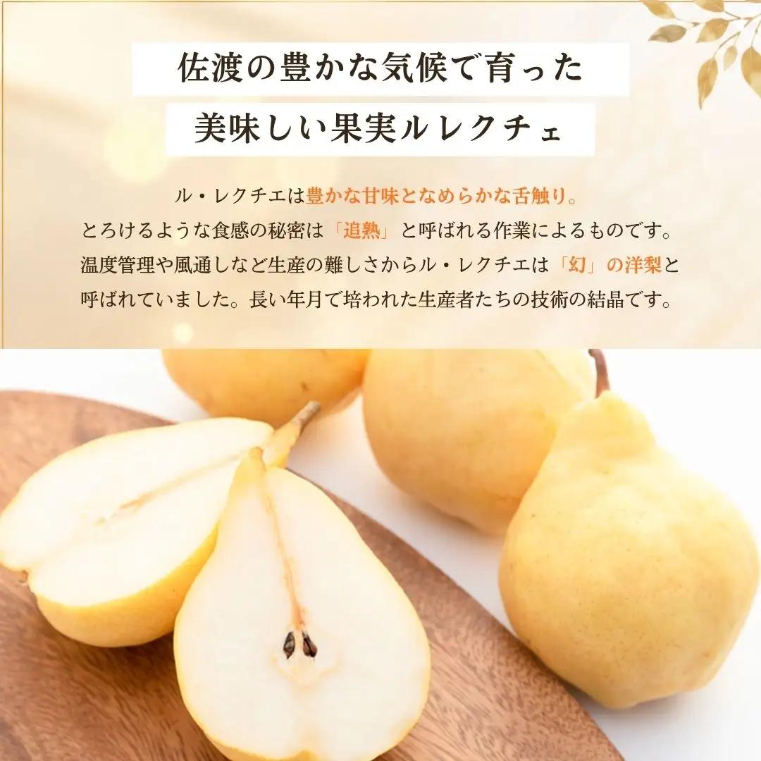 【先行予約】2026年11月下旬より順次発送 西洋梨 ル・レクチェ | 新潟県 佐渡市ルレクチェ