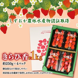 【 2026年2月中旬から順次発送】いちご きらぴ香 1kg 予約受付  静岡限定品種 牧之原市 有限会社ヤマセン