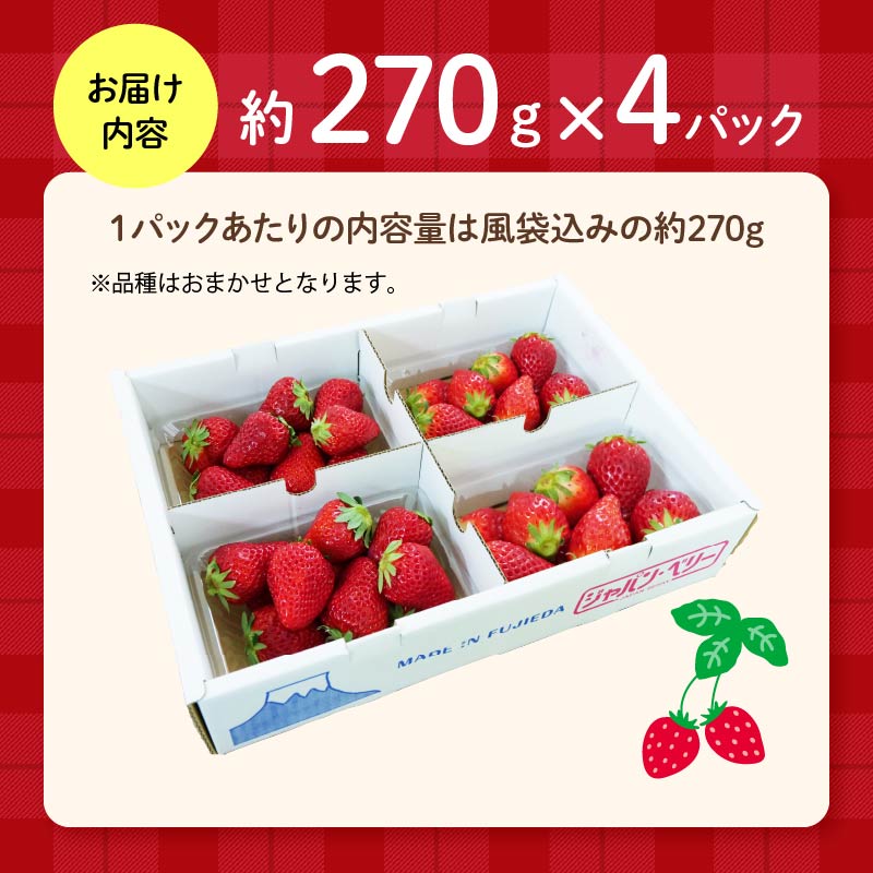 【先行予約 2025年11月より順次発送】 フレッシュ いちご 1kg 以上 おまかせ 数量限定 苺 年内配送 産地 直送 イチゴ 紅ほっぺ きらぴ香 かおり野 フルーツ 果物 国産 ジャパンベリー 