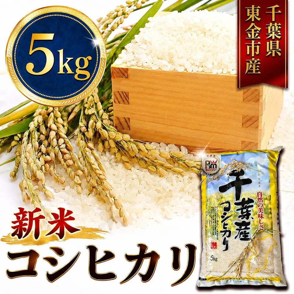新米【9月以降発送】コシヒカリ5kg｜新米