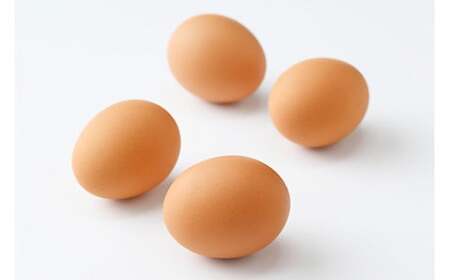 高根沢町産 加藤養鶏場の赤たまご M～Lサイズ 27個＋割れ補償3個(10個入り×3パック) 計30個 ｜ 卵 玉子 たまご 赤卵 赤たまご 生卵 国産 濃厚 鶏卵 コク 旨み※北海道・沖縄・離島への